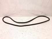 Türgummi rechts vorne VW Golf V Plus (5M, 521)