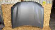 Motorhaube BMW X7 (G07) xDrive 40 i K567781
