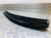 Vordertür Glasschiene CHRYSLER VOYAGER IV (RG, RS) 2.8 CRD