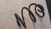 Feder rechts hinten Renault Twingo II (CN0)