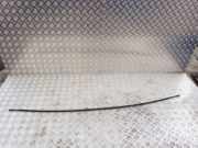 Dachleiste links TOYOTA YARIS (_P1_) 1.4 D-4D (NLP10_)