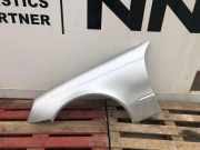 Kotflügel vorne links