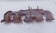Auspuffkrümmer Renault Master III Kasten (FV) 8200541758L
