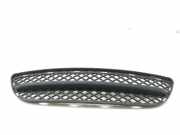 Kühlergrill unten BMW 3er Touring (E91) 51117154556