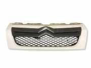 Vorderer oberer Gitter CITROËN JUMPER Minibus / passenger (244, Z_) 2.2 HDi 1308069070