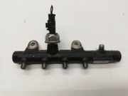 Einspritzleiste Nissan Qashqai II (J11) H8201225030