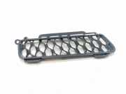 Gitter JAGUAR F-TYPE Coupe (X152) 3.0 S lex538c035