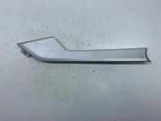 Türverkleidung vorne links