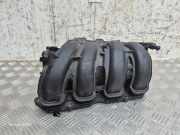 Ansaugbrücke PEUGEOT 3008 1.6 VTi 7604597 V760459780