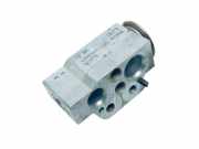 Expansionsventil für Klimaanlage VW Passat B7 Alltrack (36, B7) 1K0820679