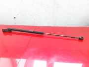 Heckklappendämpfer links Kia Carens III (UN) 0136210590N