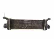 Ladeluftkühler MERCEDES-BENZ A (W168) A 170 CDI (168.009, 168.109) A1685000000