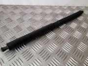 Heckklappe Gasdruckfeder links