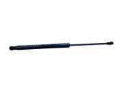Heckklappe Gasdruckfeder rechts TOYOTA YARIS (_P13_) 1.0 (KSP130_) 689500D210