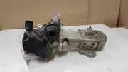 Abgaskühler Ford Focus II Turnier (DA, DS, FFS) V29004027