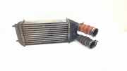 Ladeluftkühler OPEL Crossland X (P17) (P17) 1.6 0674905
