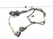 Kabel Tür Citroen C5 II (RC) 9651648980