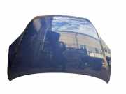 Motorhaube HONDA CR-V III (RE_) 2.0 i 4WD (RE5)