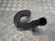 Schlauch Kühlung TOYOTA AVENSIS VERSO (_M2_) 2.0 D (CLM20_) Ps3VDANW26