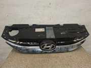 Vorderer oberer Gitter HYUNDAI ix35 (LM, EL, ELH) 1.7 CRDi 863512Y000