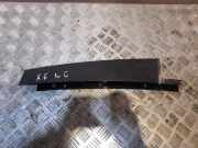 Türpolsterverkleidung hinten rechts BMW X6 (E71, E72) xDrive 50 i