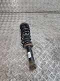 Stoßdämpfer hinten links BMW X4 (F26) xDrive 20 d 6796422