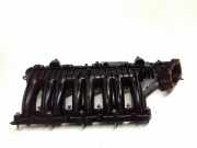 Ansaugbrücke LAND ROVER RANGE ROVER EVOQUE Cabrio (L538) 2.0 D 4x4 G4D318N968AA