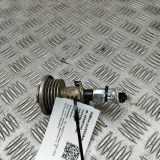 AdBlue Einspritzdüse VW CADDY IV Furgon (SAA, SAH) 2.0 TDI 3C0131113C