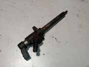 Düsenstöcke Peugeot Boxer Kasten (230L) 9657144850