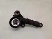 Riemenspanner AUDI A8 D3 (4E2, 4E8) 2.8 FSI