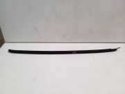 Zierleiste Windschutzscheibe Frontscheibe BMW X6 (F16, F86) xDrive 30 d 74362218