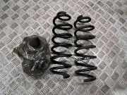 Schraubenfeder hinten links NISSAN QASHQAI II (J11, J11_) 1.2 DIG-T