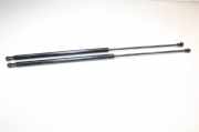 Kofferraum-Gasfeder-Kit NISSAN JUKE (F15) 1.6 904511KA1B