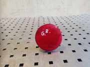 Rückstrahler Nissan X-Trail II (T31) 1090037