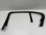 Türpolsterverkleidung hinten rechts BMW 3 (G20, G28) 330 e 7447130