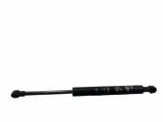 Heckklappe Gasdruckfeder rechts VOLVO S40 I (VS) 1.9 TD 3683GJ0490N D56070