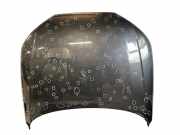 Motorhaube Audi A4 Allroad (8W, B9)
