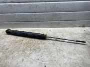 Stoßdämpfer hinten rechts TOYOTA PREVIA (_R3_) 2.0 D-4D (CLR30_)