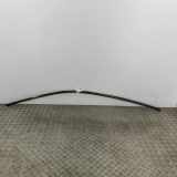 Dachleiste links VW ID.4 (E21) GTX 11A853701C