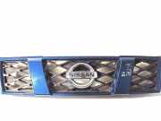 Vorderer oberer Gitter NISSAN X-TRAIL (T30) 2.2 dCi 4x4 62310JG40A50A
