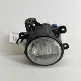 Nebelscheinwerfer links FIAT DUCATO Furgon (250_, 290_) 130 Multijet 2,3 D 89211690 51858824