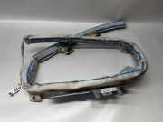 SRS Modul Dach links BMW 5 Touring (F11) 530 d xDrive 306450810AB