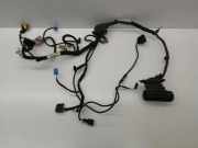 Kabel Tür vorne rechts VW EOS (1F7, 1F8) 2.0 TDI 16V 1Q0971120BH