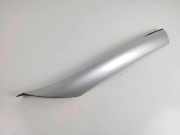 Zierleiste Windschutzscheibe Frontscheibe