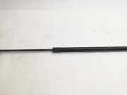 Heckklappendämpfer rechts BMW X3 (F25) 51247211289