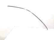 Dachleiste links MERCEDES-BENZ E (W211) E 320 CDI 4-matic (211.089) A1173L4