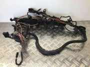Motor Kabelbaum BMW 6 Coupe (F13) 650 i xDrive 7614896