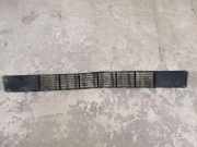 Gitter vorne unten RENAULT VEL SATIS (BJ0_) 3.0 dCi (BJ0J, BJ0N) 42496