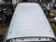 Dach mit Sonnendachausschnitt VW Passat B8 Variant (3G)