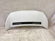 Motorhaube Ford Transit Kasten (FA) 024196